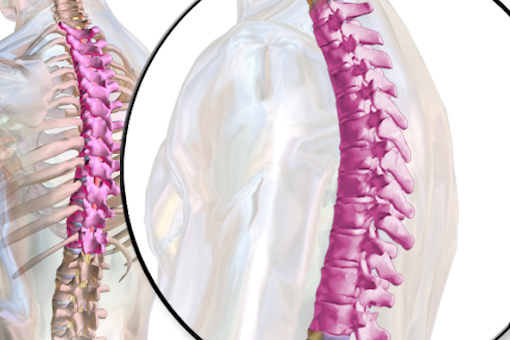 spine_healthy_blog_img